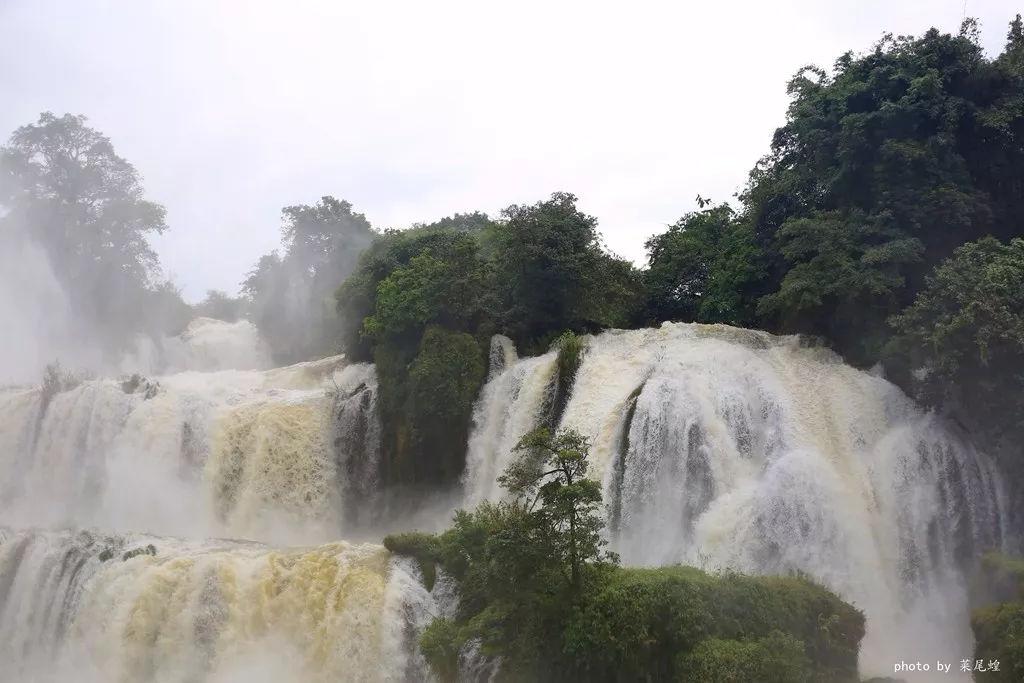 小红帽的冒险之旅